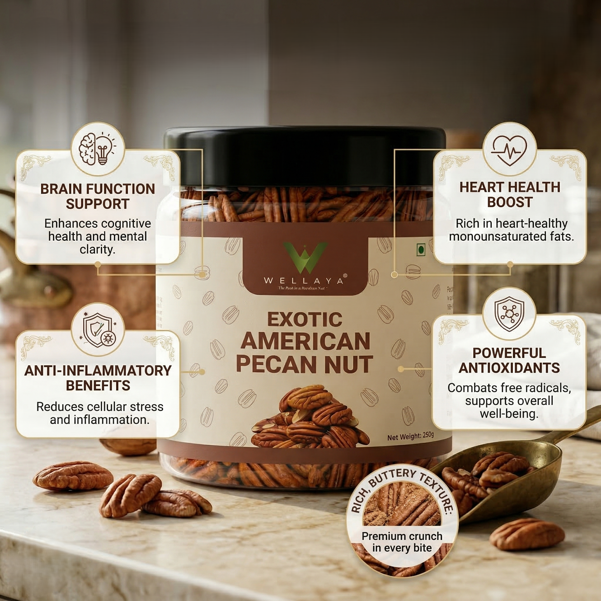 American Pecan Nut